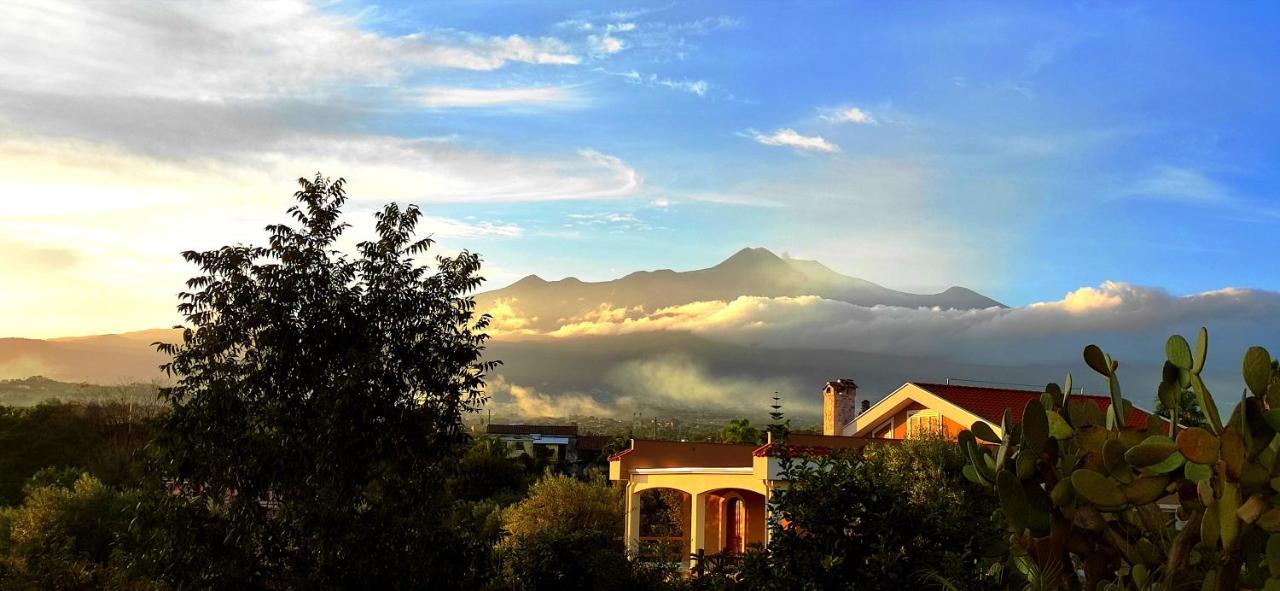 阿奇雷亚莱Casa Del Sole Con Vista Sull'Etna A 200 Mt Dal Mare别墅 外观 照片